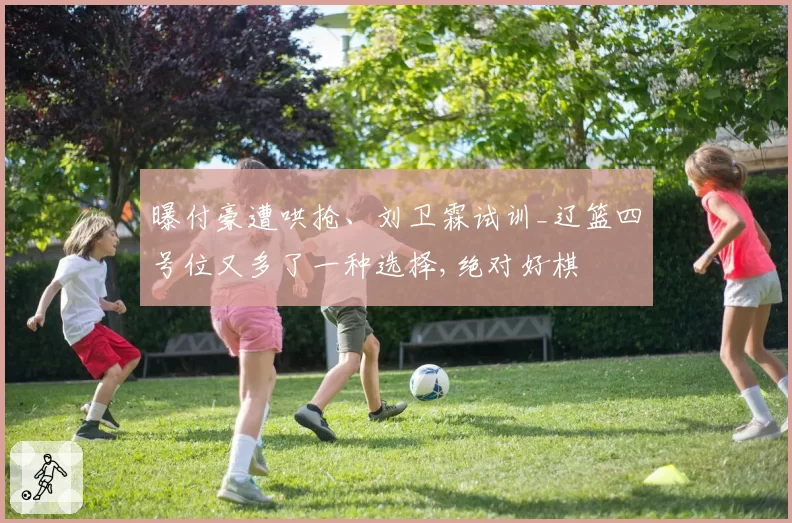 曝付豪遭哄抢、刘卫霖试训_辽篮四号位又多了一种选择,绝对好棋