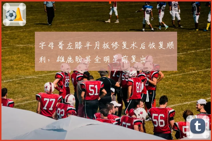 字母哥左膝半月板修复术后恢复顺利,雄鹿盼其全明星前复出